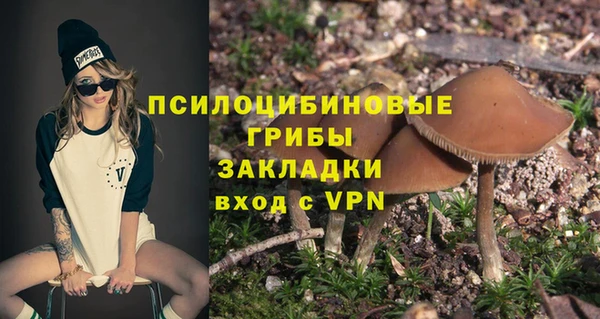 хмурый Абаза