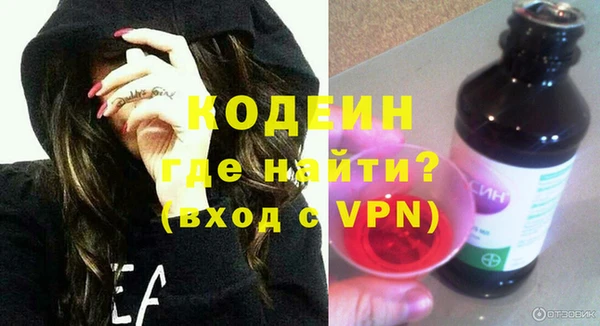 хмурый Абаза