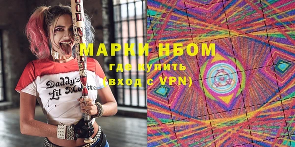 хмурый Абаза