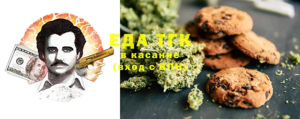 хмурый Абаза