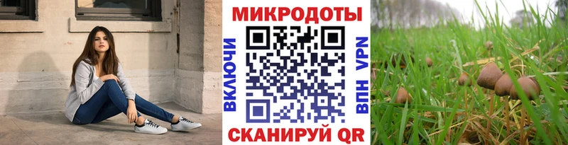 Галлюциногенные грибы Psilocybine cubensis магазин продажи Старый Крым